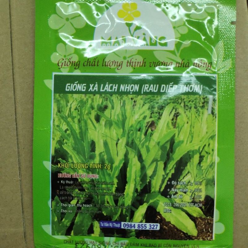 Giống Xà Lách Nhọn