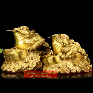 Thiềm Thừ - Cóc ngậm tiền Đồng Nguyên chất Tài Lộc 13cm-18cm