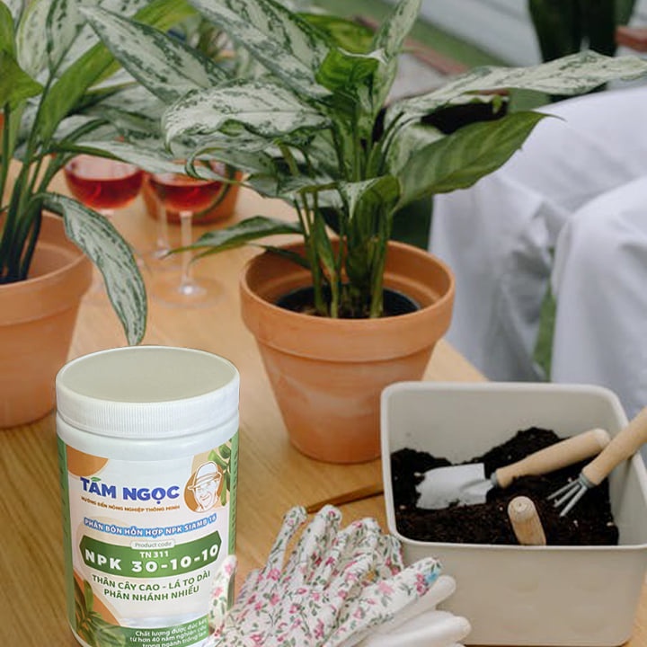 NPK 30-10-10 Tám Ngọc hũ 100g - Phân Bón Vươn Chồi Mầm, Phất Triển Thân Lá