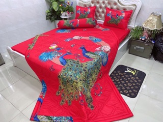 Drap thun lạnh 5D cao cấp mẫu công ( 5 màu)