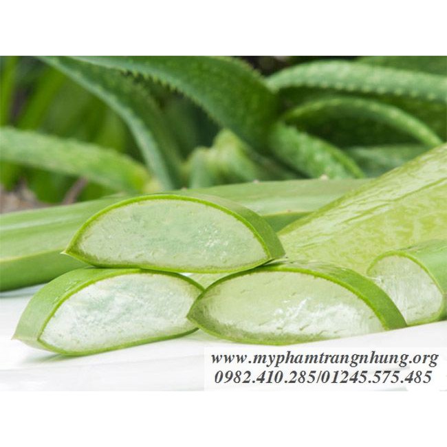 Son dưỡng môi lô hội Aloe Vera 92%