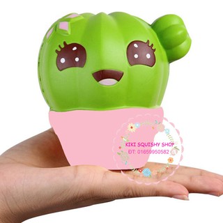 Squishy chậu xương rồng