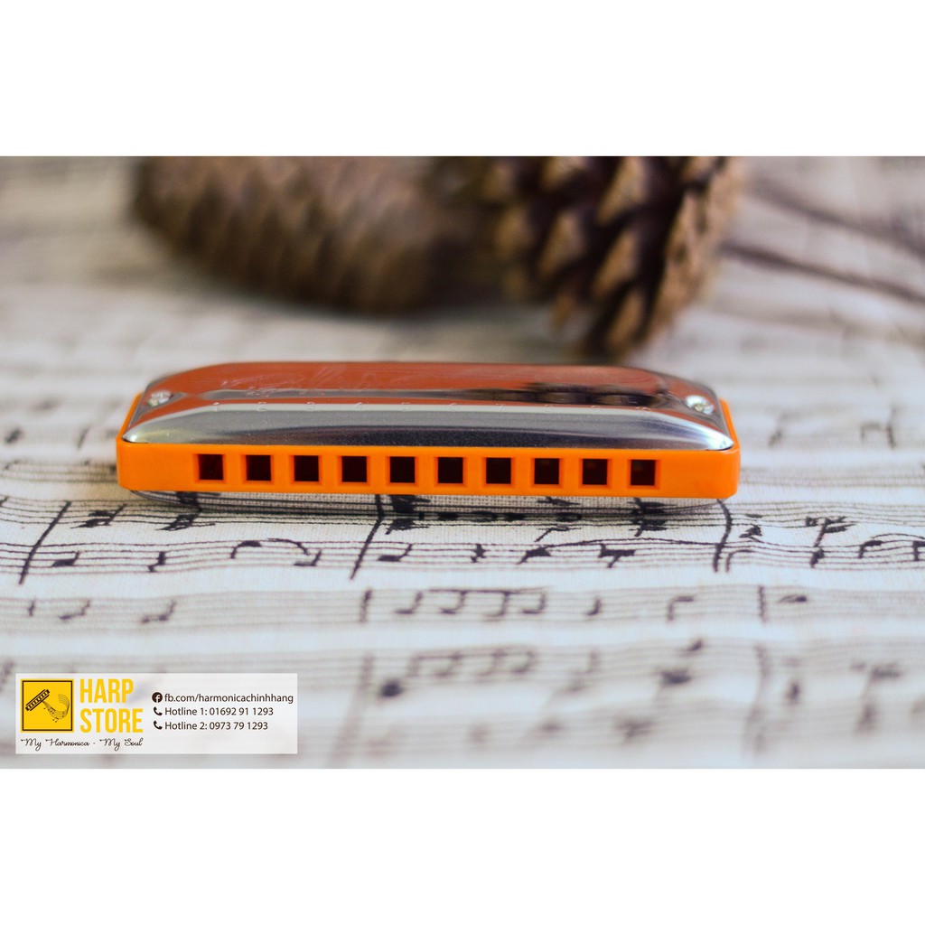 Kèn Harmonica diatonic Seydel Blue Session Steel (Standard Richter) - Key C,A,G