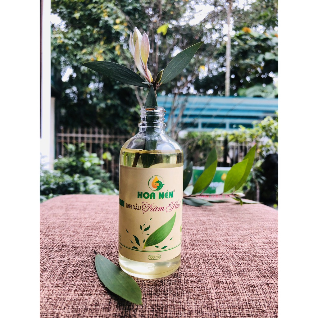Tinh dầu tràm Huế hiệu Hoa Né 100ML (Tặng kèm vỏ bi lăn để chiết dầu tiện lợi | BigBuy360 - bigbuy360.vn