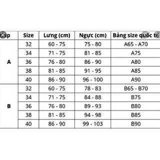 Áo Bra Nâu Tây Mút Mỏng 8868