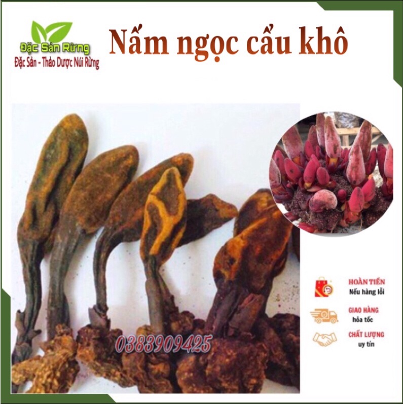  Nấm Ngọc Cẩu Rừng Khô ( 1kg ) - Ngâm Rư-ợu B_ổ Thận