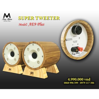 Loa siêu treble - siêu Tép - nghe nhạc Super Tweeter AE9 Plus