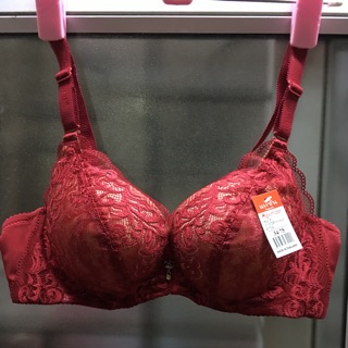 Combo áo Hồng