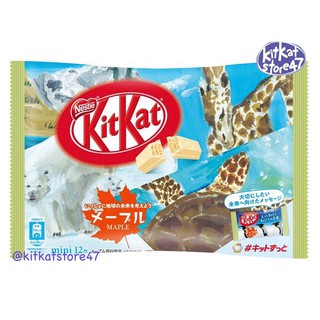 KITKAT VỊ SIRO LÁ THÔNG