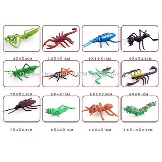Set 22 loài côn trùng cho bé