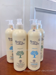 Cặp dầu gội Biotin & Collagen Ý