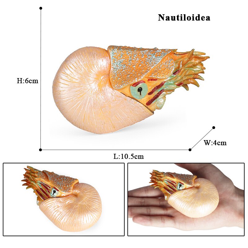 Mô Hình Động Vật Biển Đồ Chơi Cho Trẻ Em
