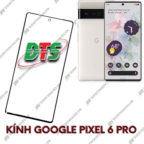 Mặt kính google pixel 6 pro