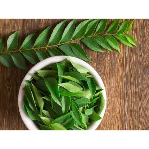 Lá cà ri sấy khô tăng hương vị đặc trưng-Curry leaves