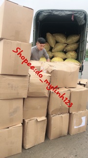 1kg lang vàng vỡ loại ngon🥜🌽🌽