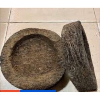 Chậu dớn trồng lan