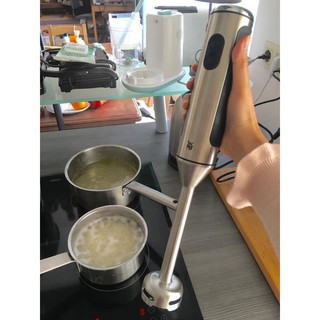 Máy xay cầm tay WMF Lineo 4 in 1