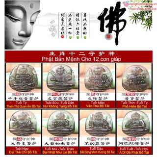 Dây Chuyền Thần Bảo Hộ 12 Con Giáp B93