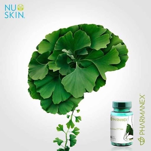Bổ sung trí não bioginkgo 27/7