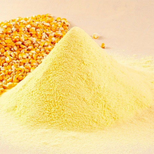 Bột Bắp Vàng sấy lạnh NTPowder hũ 60gr / túi 100gr - Nhất Tín Food
