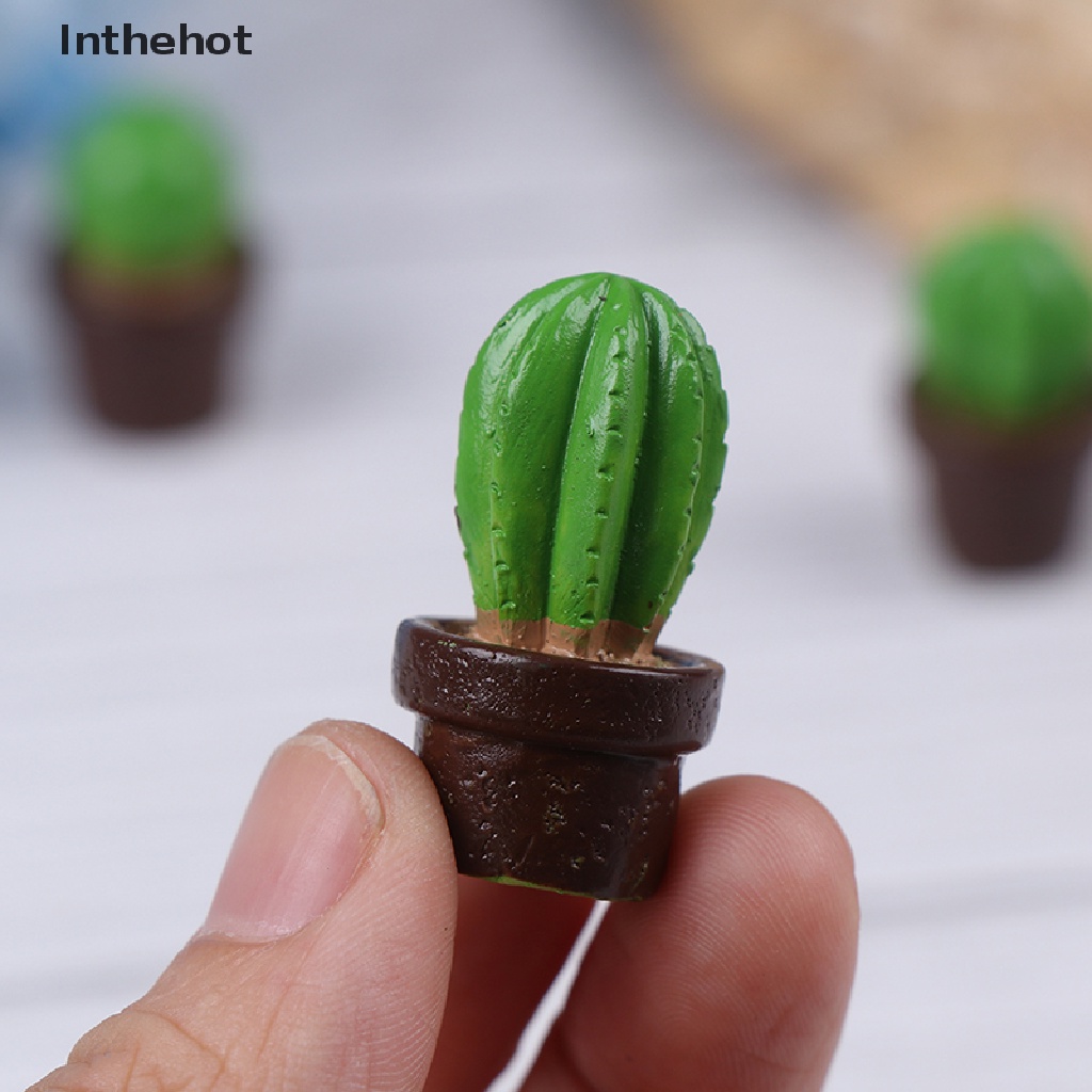 Bộ 5 Cây Xương Rồng mini Bằng Nhựa Trang Trí Nhà Cửa