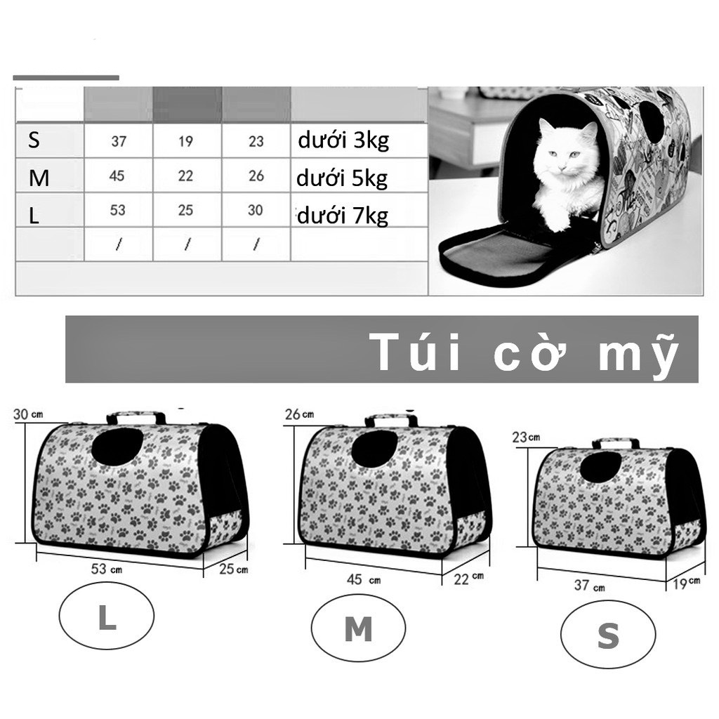 Túi vận chuyển thú cưng MẪU NGẪU NHIÊN - Túi loại cứng có quai