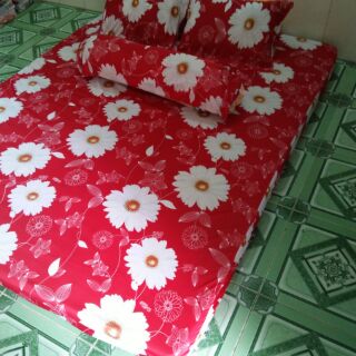 Ga Thun Lạnh Hàn Quốc 1m6 x 2m 15 phân