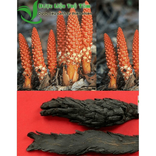 1kg Nhục thung dung - loại đen dẻo cao cấp | BigBuy360 - bigbuy360.vn