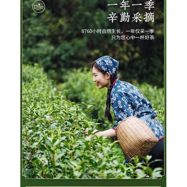 TRÀ THIẾT QUAN ÂM HỘP THIẾT  250GR