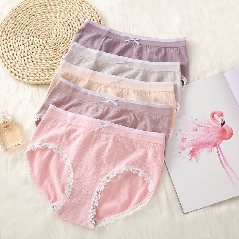 Quần lót nữ LENABRA, hộp 5 quần lót thiên nga cotton co giãn kháng khuẩn có nơ xinh