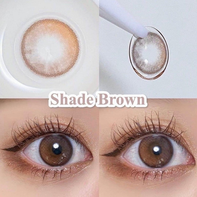 Kính Áp Tròng Filter Phủ Bóng Oriana Shade Brown 14.0mm - FAIRY SHOP CONTACT LENS độ 0 đến 8