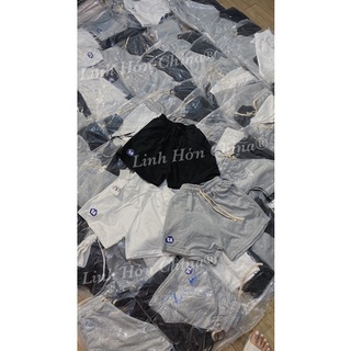 SET 3 QUẦN ĐÙI THỂ THAO 3 MÀU