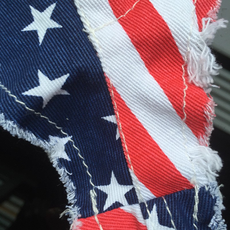 QUẦN BIKINI BÒ SỌC ĐỎ CỜ HOA KỲ - THỜI TRANG CÁ TÍNH, QUYẾN RŨ BKN8305 | BigBuy360 - bigbuy360.vn