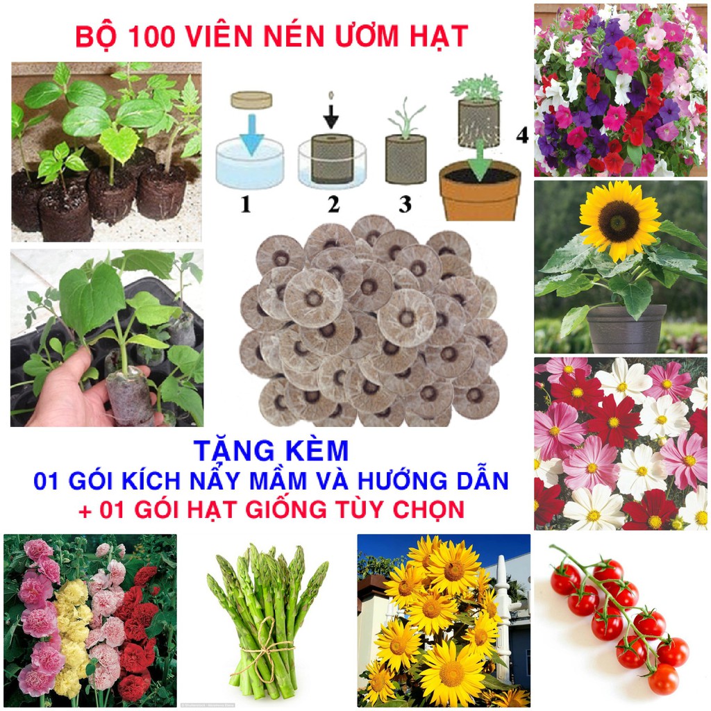 Bộ 100 viên nén ươm hạt (Tặng hạt giống + Kích nẩy mầm hạt giống, hướng dẫn)