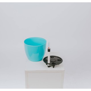 10 chậu cây tự tưới nước size 18,5x16cm - xanh da trời