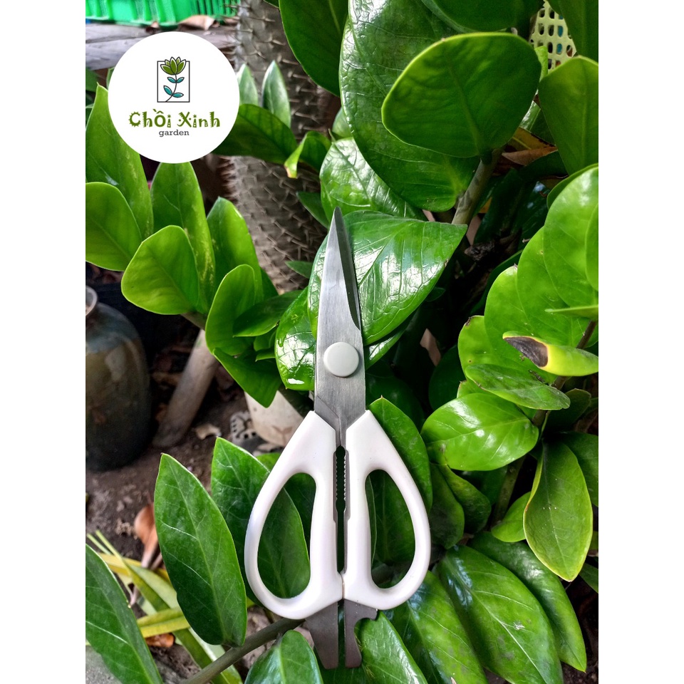 KÉO CẮT TỈA CÂY KÉO LÀM VƯỜN