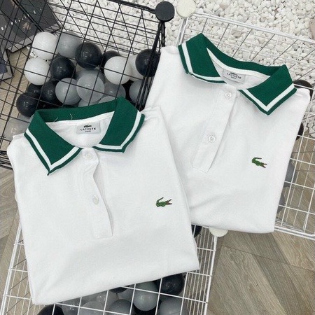 Áo polo nữ Bingshop cổ dệt bo len tay vải cá sấu cao cấp hàng có size