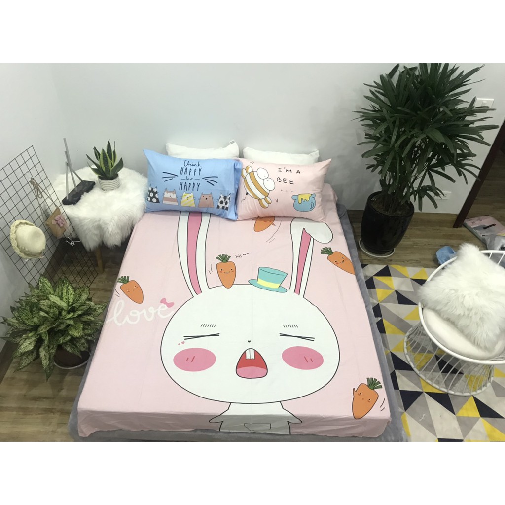 Set ga gối cotton 100% siêu cute ( 1 ga+ 2 vỏ gối)