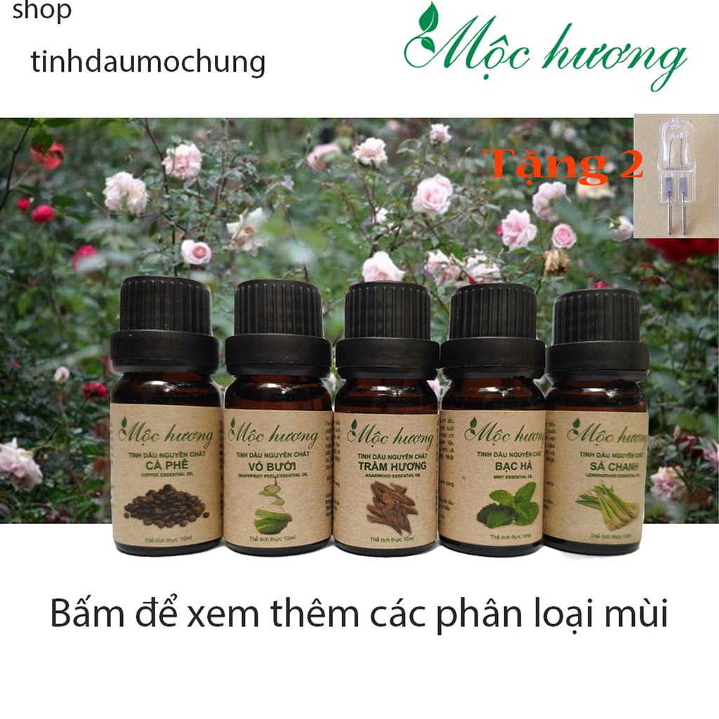 Combo 4 CHAI TINH DẦU  GỒM XÔNG HƠI SPA
