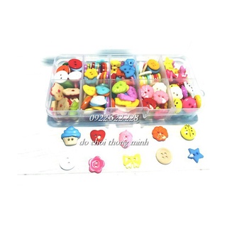 Hộp cúc nhựa 240 cúc 10 ngăn