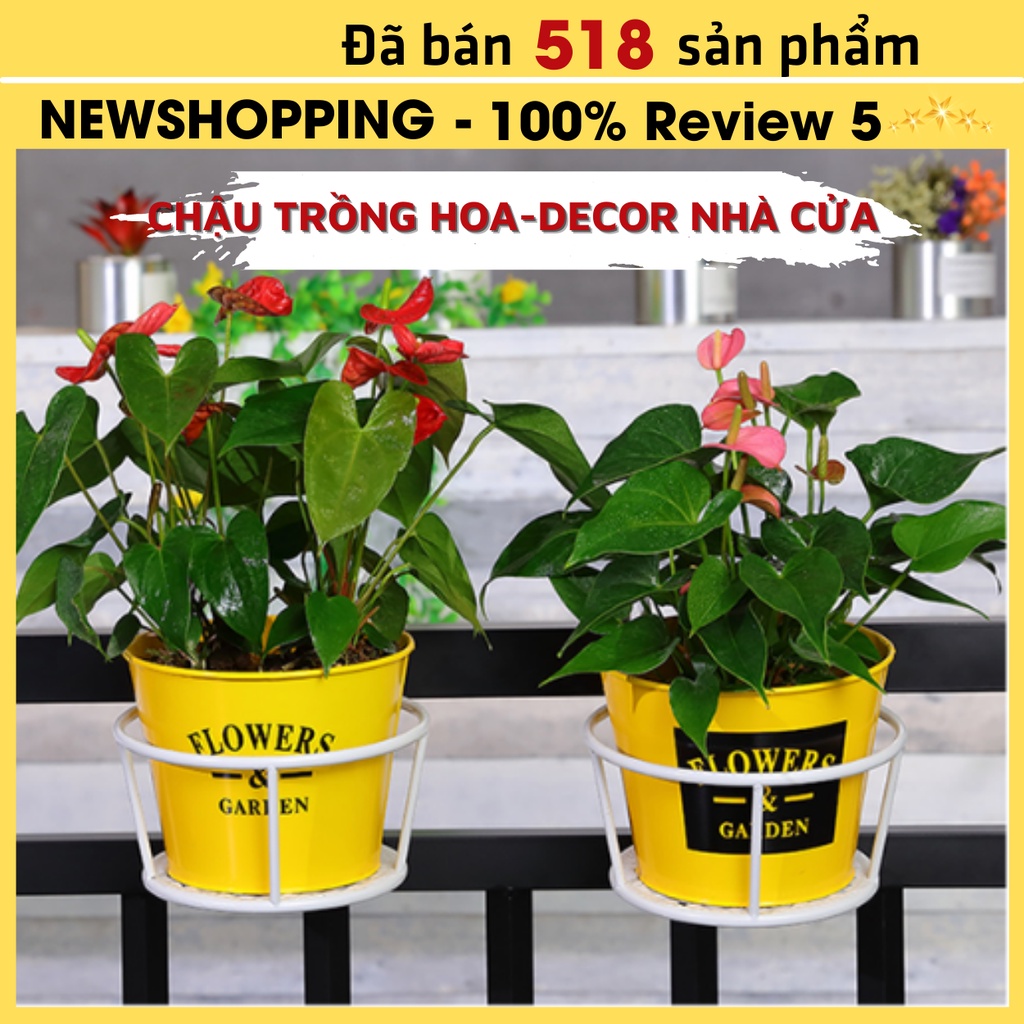 Chậu Thiếc Trồng Cây NewShopping Trồng Hoa, Decor Nhà Cửa Xanh, Trắng, Vàng Sơn Tĩnh Điện, Chống Han Gỉ Có Lỗ Thoát Nước