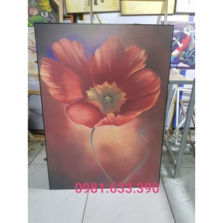 Khung Tranh Canvas Cao Cấp (Kèm Khung + Đinh Treo) ẢNH THẬT