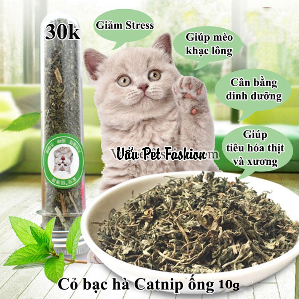 Cỏ bạc hà Cat mint / Catnip cho mèo CATMIN 5g/10g- Jpet shop