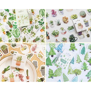 Bộ sticker nhãn dán vẽ màu nước small plants