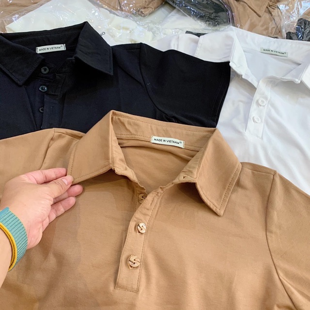 ÁO CROPTOP 3 MÀU POLO