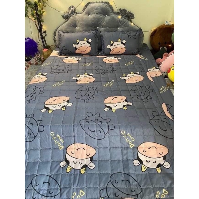 Ga kèm 2 vỏ gối Cotton Poly trần bông 3 lớp , Ga bọc đệm dầy dặn mẫu mã đa dạng giá rẻ