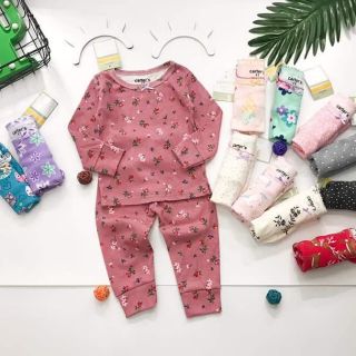 Combo 2 Bộ Bozip dài tay cho bé