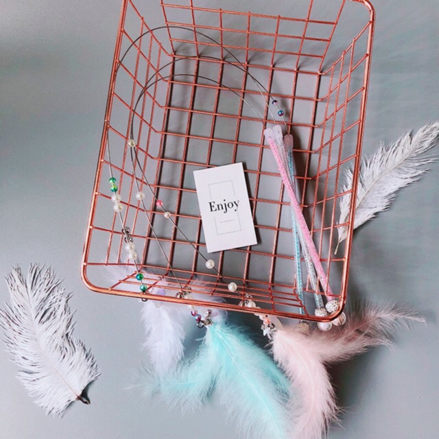 Cần câu mèo ( lông vũ mèo )