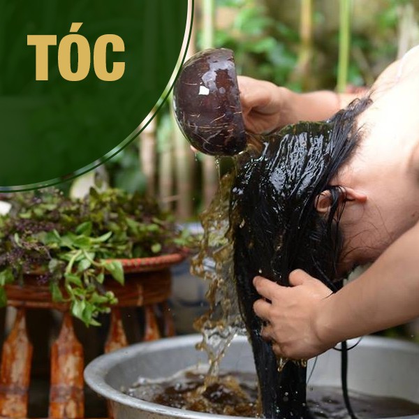 Dầu gội Hỗ Trợ Trị Rụng Tóc Bạc Tóc Bách Niên Xuân