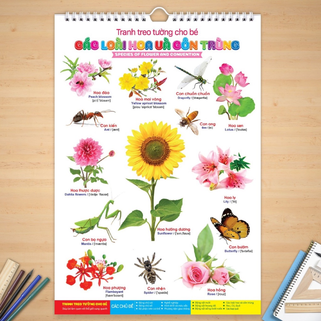 Tranh treo tường bách khoa toàn thư về thế giới xung quanh 14 chủ đề cho bé 101